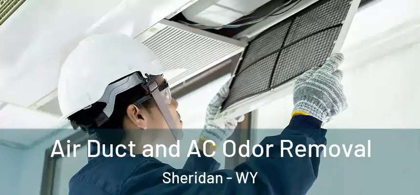  Air Duct and AC Odor Removal Sheridan - WY