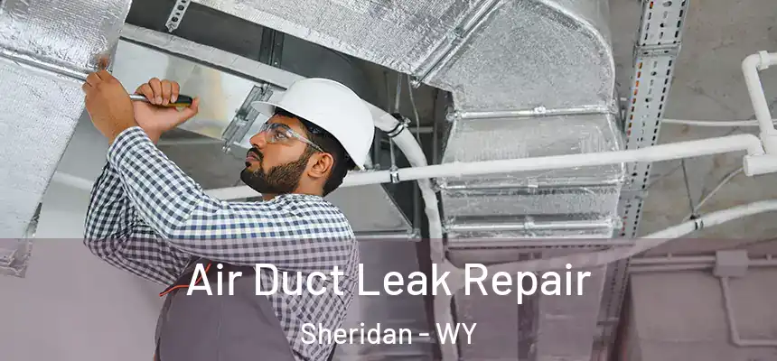  Air Duct Leak Repair Sheridan - WY