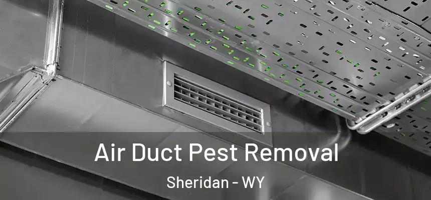  Air Duct Pest Removal Sheridan - WY