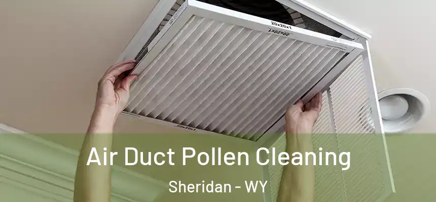  Air Duct Pollen Cleaning Sheridan - WY