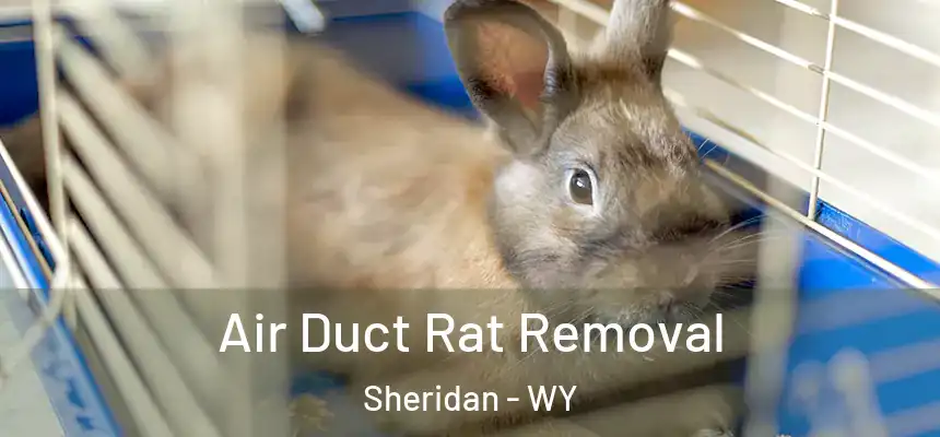 Air Duct Rat Removal Sheridan - WY