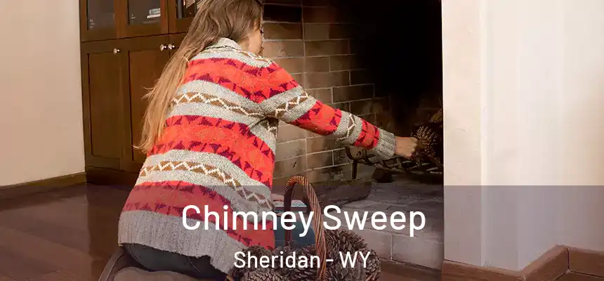 Chimney Sweep Sheridan - WY