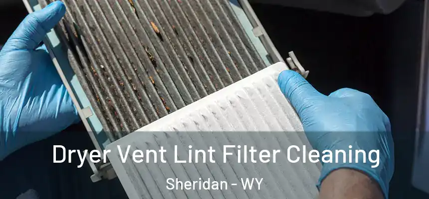  Dryer Vent Lint Filter Cleaning Sheridan - WY