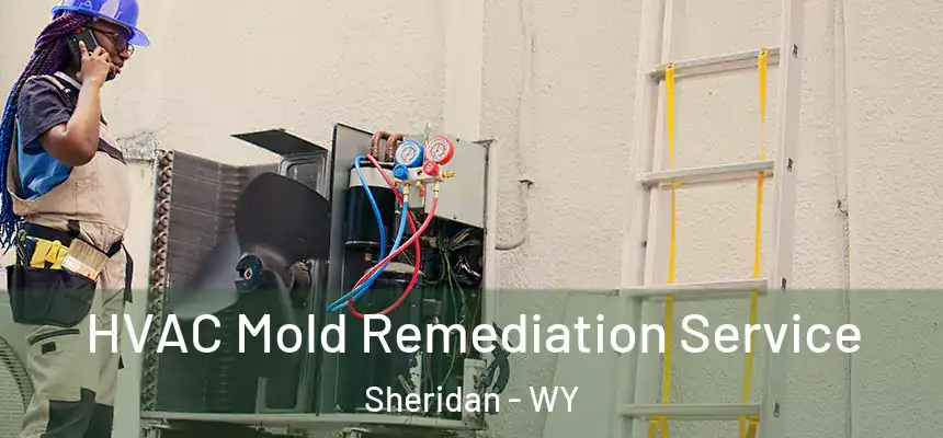  HVAC Mold Remediation Service Sheridan - WY