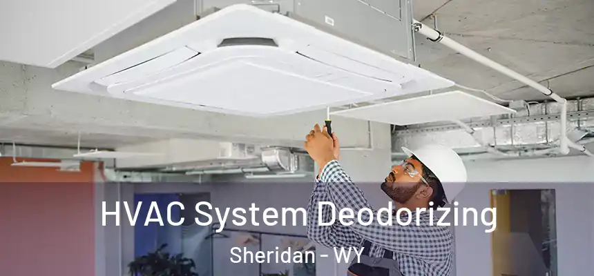  HVAC System Deodorizing Sheridan - WY