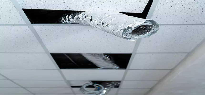 Affordable HVAC Sanitizing After Pest Removal in Sheridan