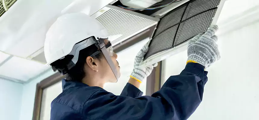 Our Mold & Mildew Removal from Air Ducts Services in Sheridan, WY