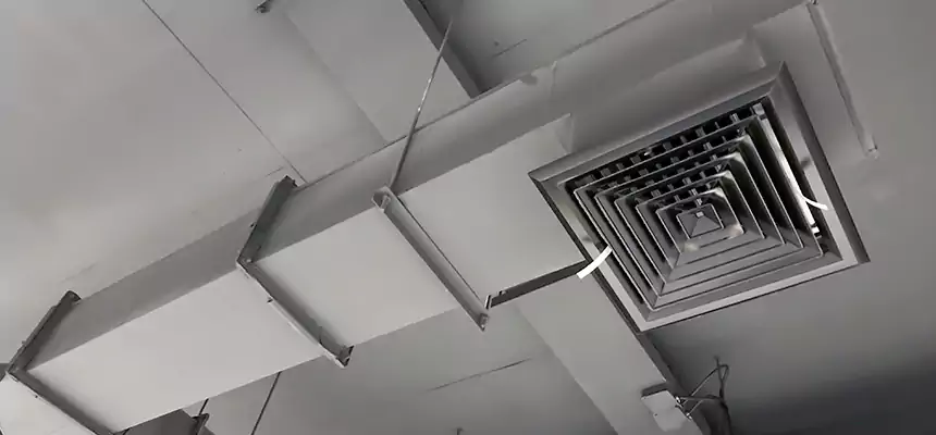 Our Rodent Droppings In Vents Services in Sheridan, WY