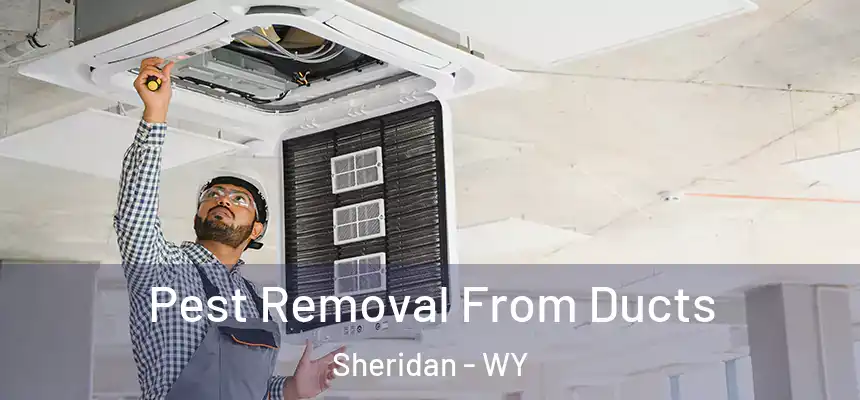  Pest Removal From Ducts Sheridan - WY