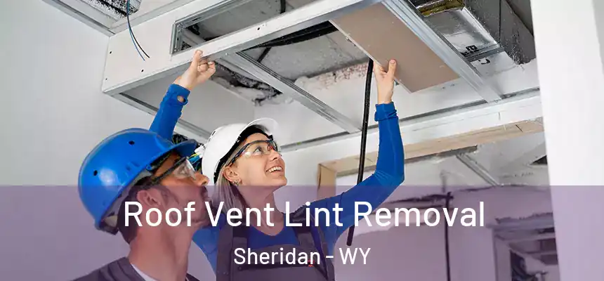  Roof Vent Lint Removal Sheridan - WY