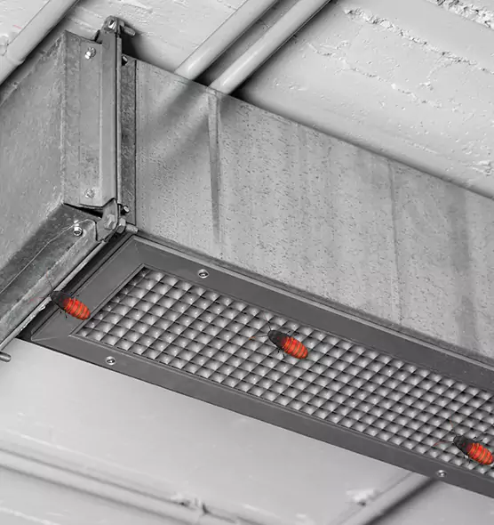 About Air Duct Cockroach Removal in Sheridan, WY