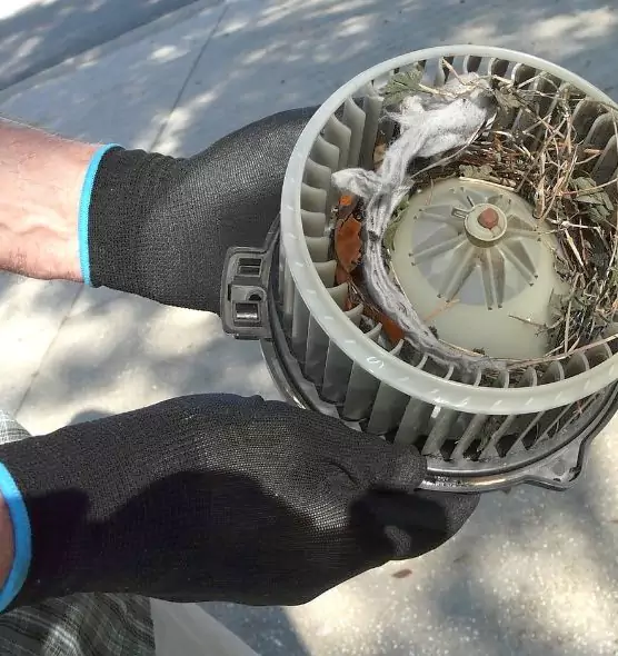 About Air Duct Rat Removal in Sheridan, WY