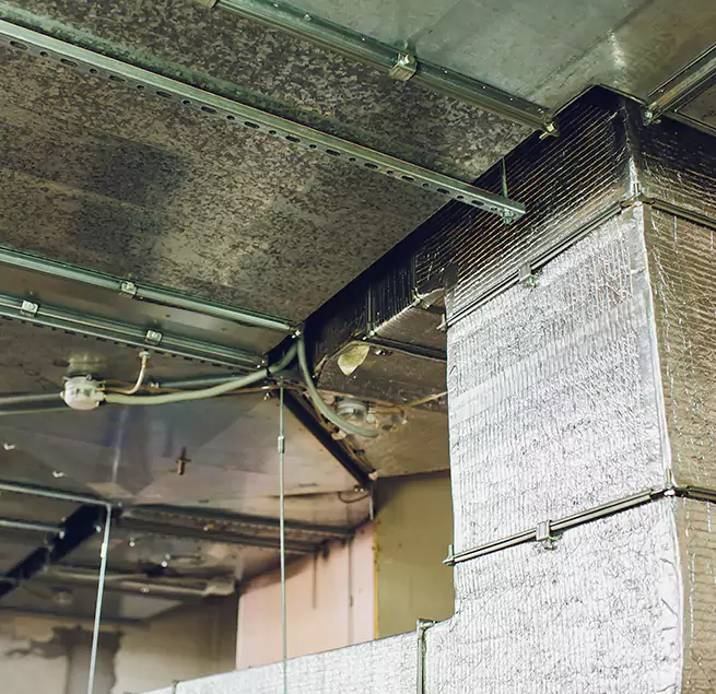 Why Homeowners & Businesses Trust Us in Sheridan, WY?