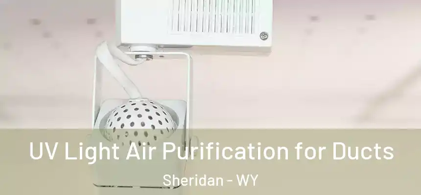 UV Light Air Purification for Ducts Sheridan - WY